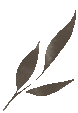 104315ct8siao4twou5oar.gif