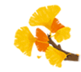104807v0n2ocoo2cup559i.gif