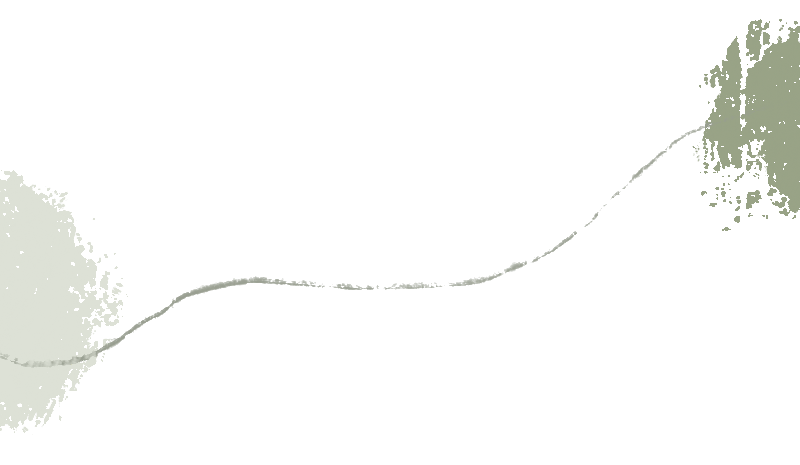 162054mjpzbwbpf25875qx.png
