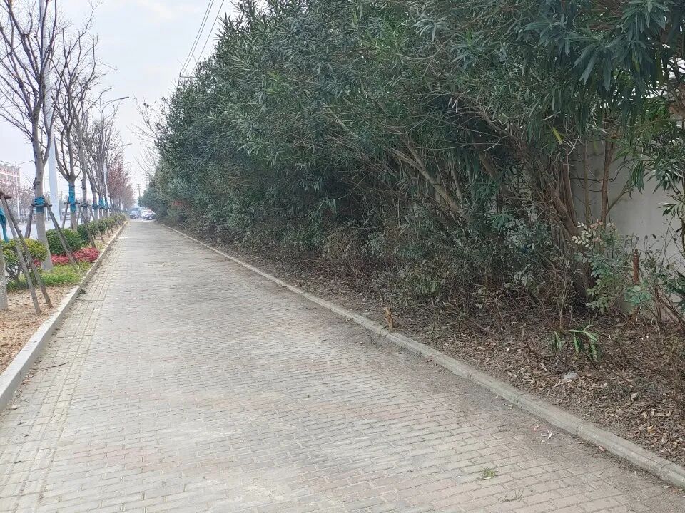 093247d9evtvtcdle2etbu.jpeg