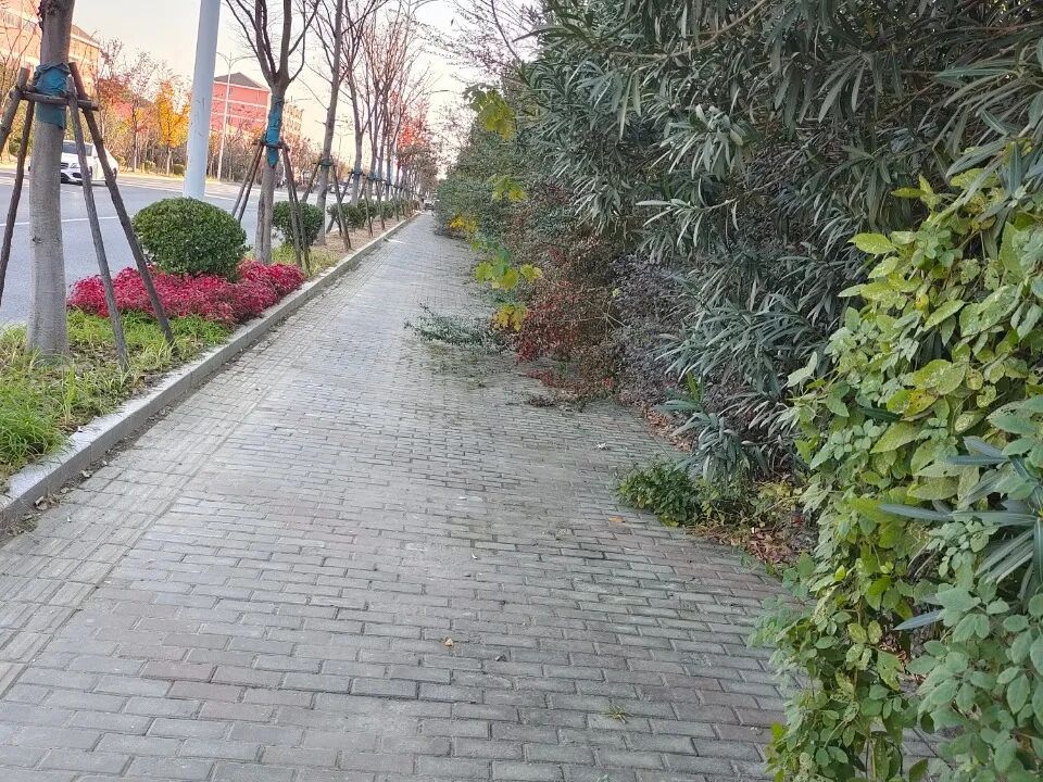 093247t3otorv7t9in3t3e.jpeg