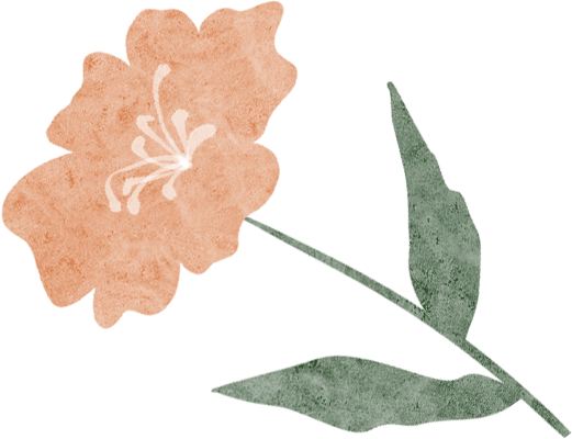 102427wm3myz4395vym444.png