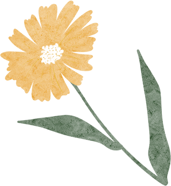 102429hmkugld8j855jrlw.png