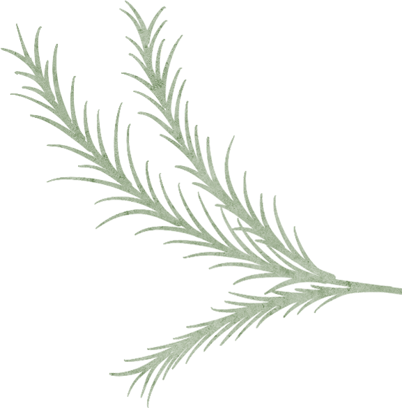102447srr1x8mk97ik8j98.png