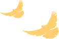 093248ns6lla1lvlblh1gl.png