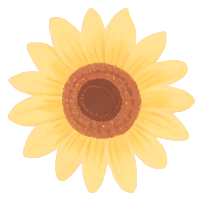 084418ky8kczzxxso2j2cc.png