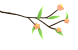 095029g406t11rf7qfqrq6.gif