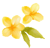 095054iarsy04lipxy240j.gif
