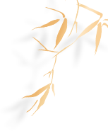 42abf24649c3500a4e90f27f49b2e96d.png