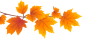 091030exaw1k4xzko9vlxl.gif