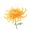 b8a898f643786ca53920b049514c46aa.gif