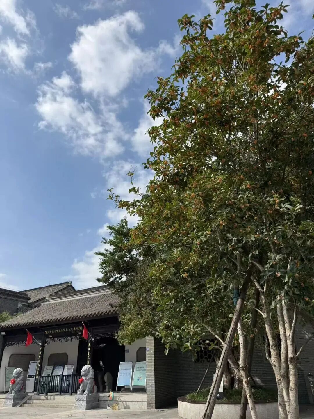 9a70dbefa399ad4f5a178e82343daf70.jpeg 9a70dbefa399ad4f5a178e82343daf70.jpeg