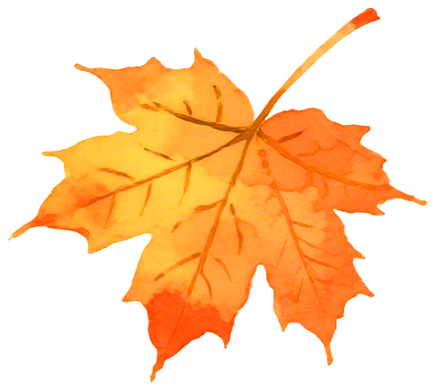 e179f35eec248538216104742c1425f7.png e179f35eec248538216104742c1425f7.png