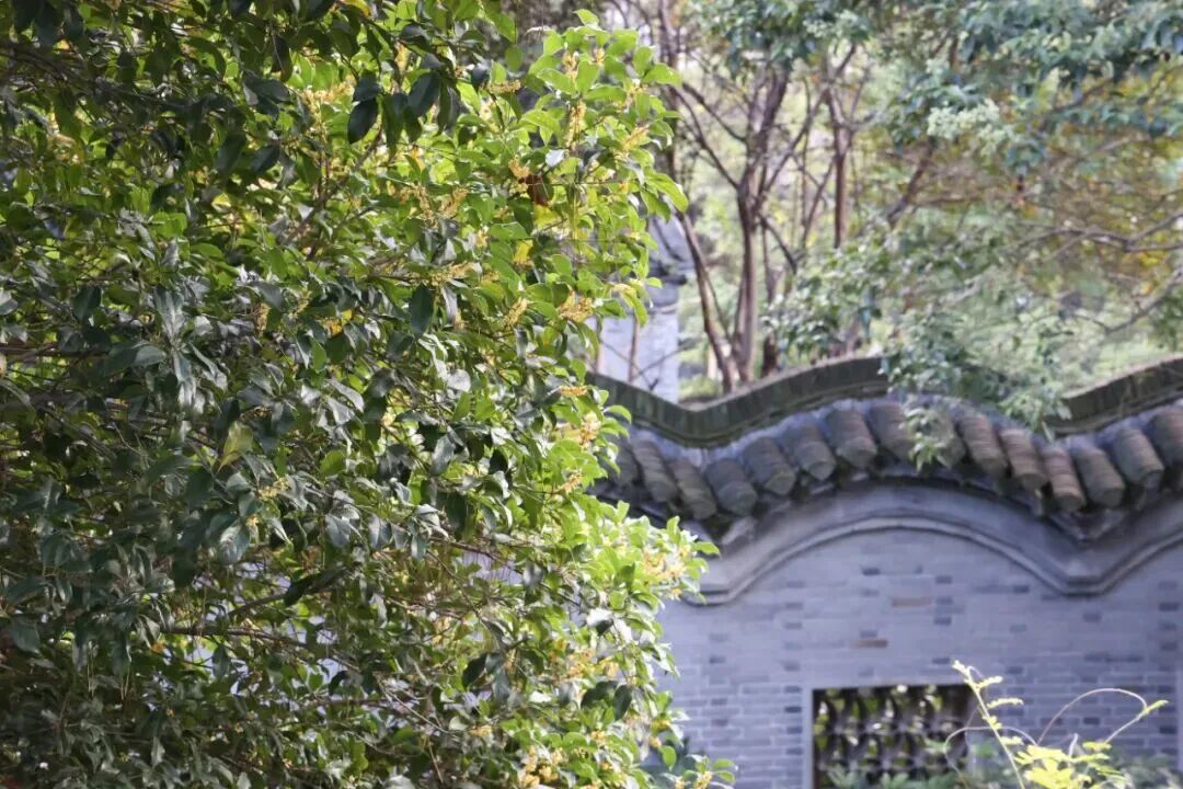 f4d1730f547c6523c614b653ad56cf0a.jpeg f4d1730f547c6523c614b653ad56cf0a.jpeg