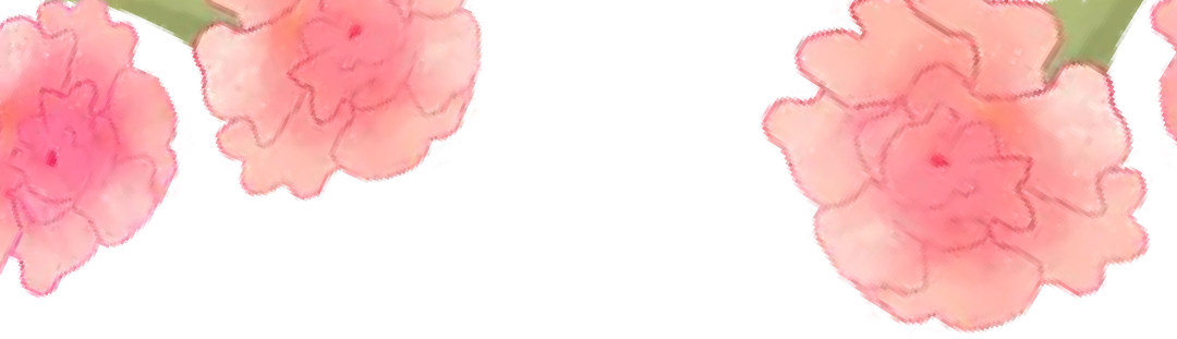 57e547745167dab1fb209387e0910203.png