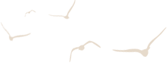 931a871eb476e404653b4224826a2df1.png