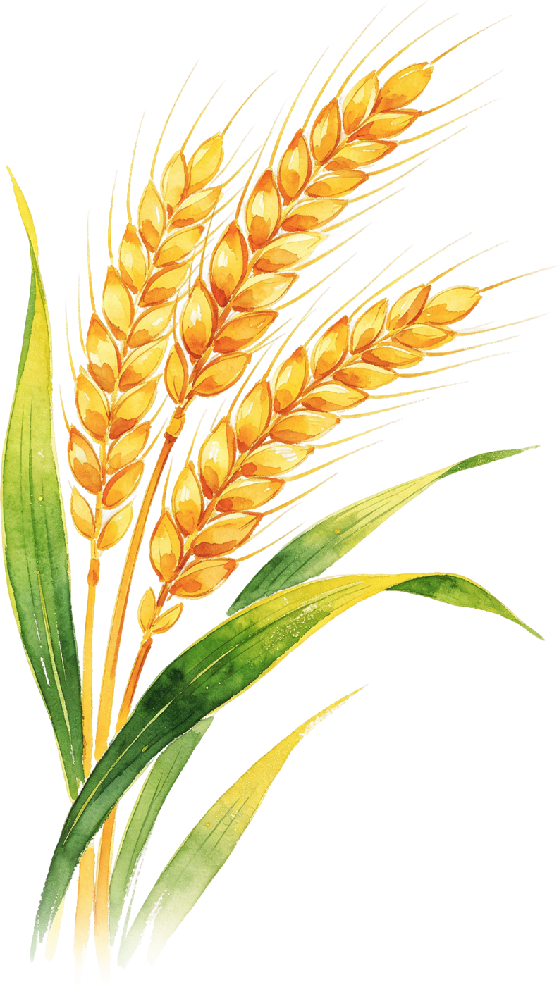 351f53f90cf4640f62dd11f0abb38f19.png