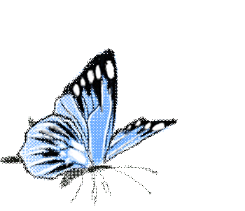 348fef52440dee209933429476404086.gif