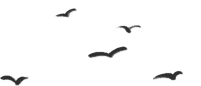 ec07967f93325e91d0a5eea8be03e252.gif