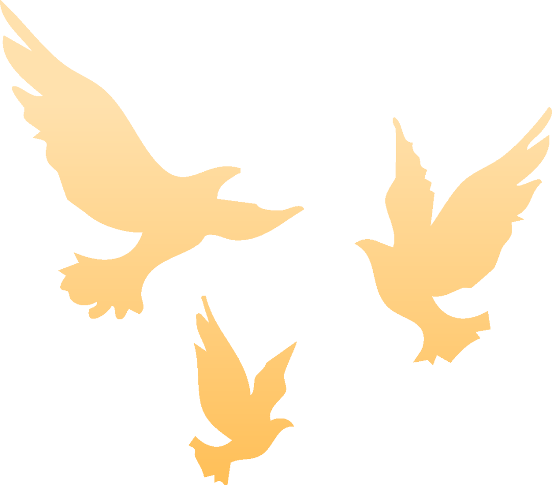 031ad739f977036fbc384d4895898576.png