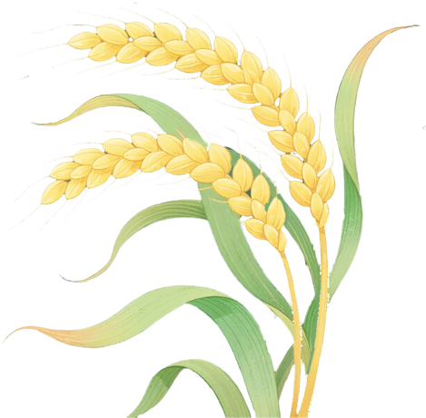 38ff0ac30d353387c4622195aaa28d28.png
