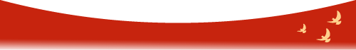 8b67aab23534f9f24d08e8ab1a590c74.png