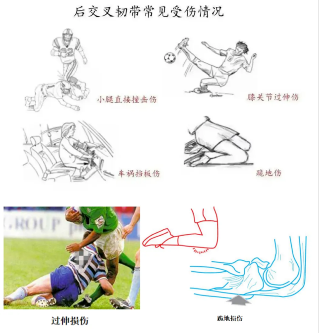 77958e0eabcbdeb8e7affc56d8f54632.png
