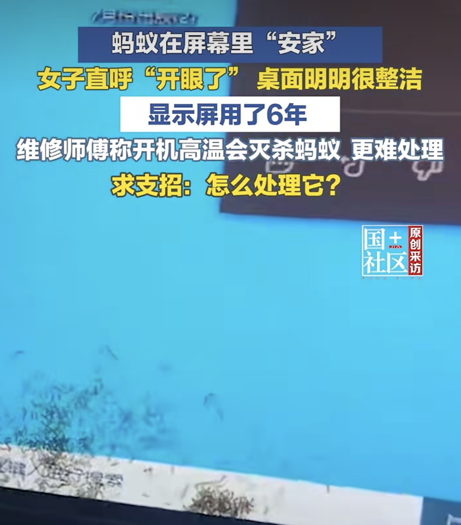 9a86df5547353e51ad725cc6eb4fe4b6.png